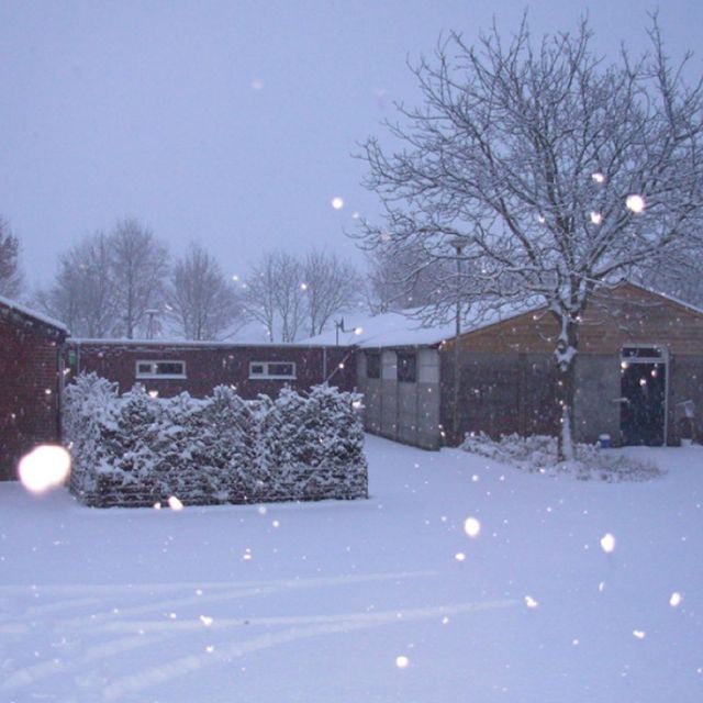 accommodatie in winter