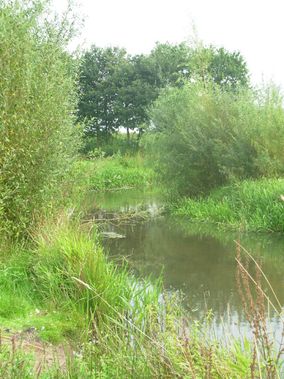 natuur