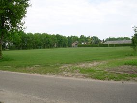 grasveld